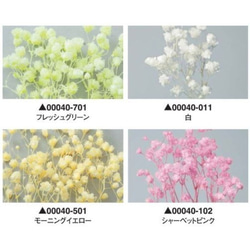 地球農場！永生花約5g【滿天星加班鮮綠】Preza gypsophila gypsophila 第4張的照片