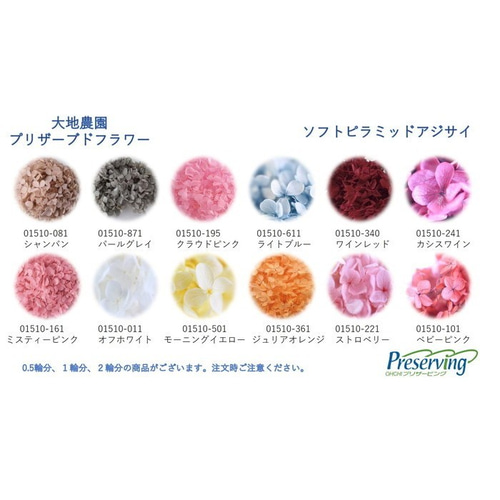 花材セット 紫陽花 Ｎｏ．611 花材セット 紫陽花 No．611 花材セット 紫陽花 No．611