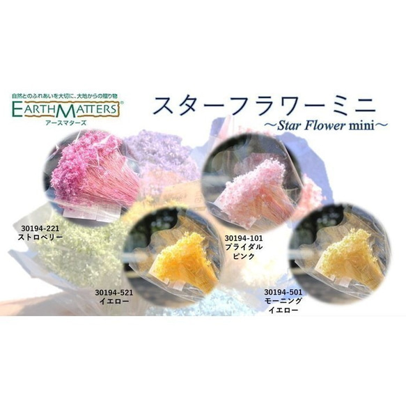 大地農園！スターフラワー　ミニ【ストロベリー】1束　約12g（約400本） ドライフラワー　プリザーブドフラワー 花材 2枚目の画像