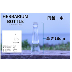 植物標本瓶 [錐形中型 ssg-120] 帶蓋玻璃瓶 1 透明瓶 Insta 第2張的照片