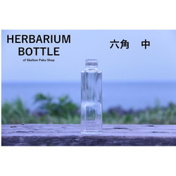 植物標本瓶【六角型中號ssf-150】帶蓋玻璃瓶1透明瓶 第1張的照片