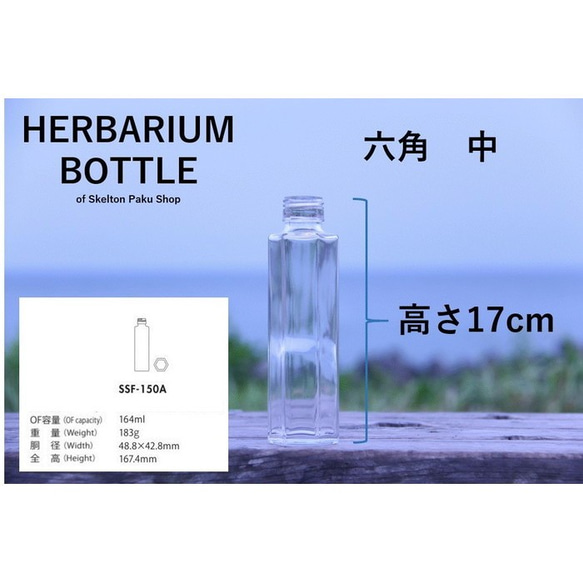 ハーバリウム　瓶　ボトル【6角形タイプ　中 ssf-150】ガラス瓶　キャップ付　1本　透明瓶　 2枚目の画像