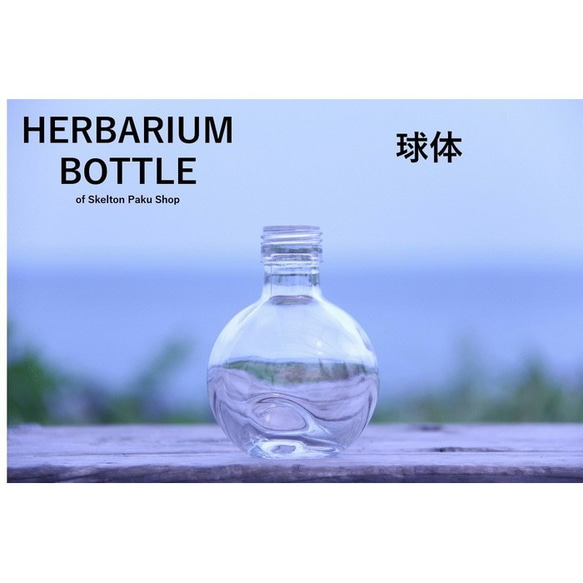ハーバリウム ボトル 瓶【球体】ガラス瓶 キャップ付　1本 透明瓶 ー インスタ SNS 1枚目の画像