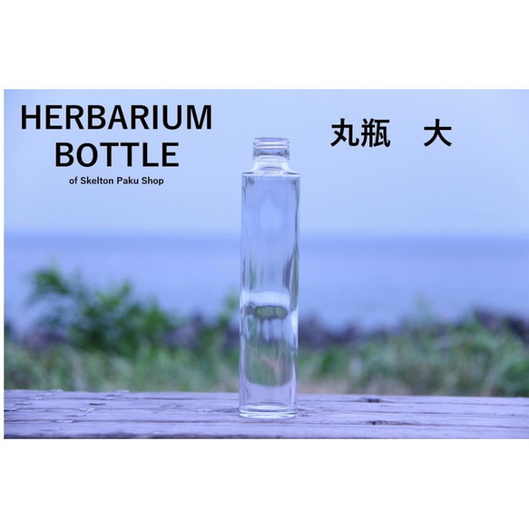 ハーバリウム ボトル 瓶【丸瓶　大 sss-200】ガラス瓶 キャップ付　1本 透明瓶  インスタ 1枚目の画像