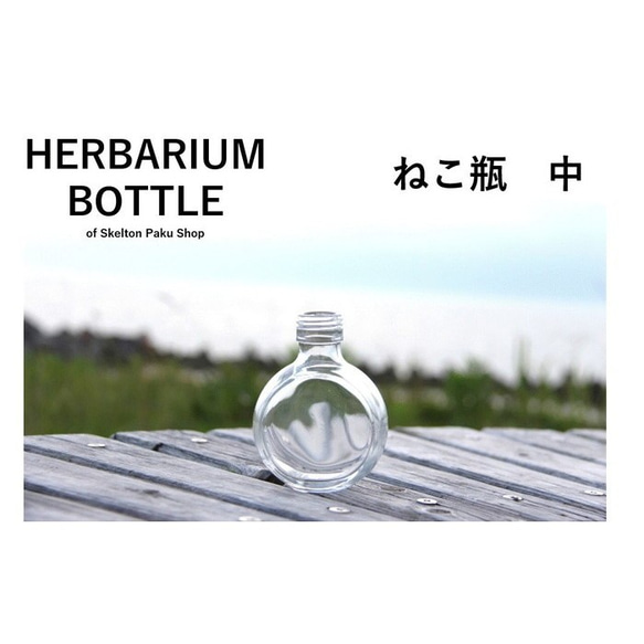 フック付き標本瓶　ガラス瓶 りかなび】種子瓶（標本瓶）イカ型 350mL 102φ