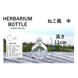 植物標本館玻璃瓶 150mL 貓瓶中型 ssw-150 帶蓋 1 透明瓶玻璃容器 第2張的照片