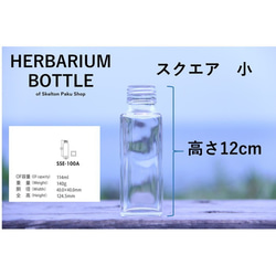 植物標本瓶【方形小號 sse-100】帶蓋玻璃瓶 1 透明瓶 Insta 第2張的照片