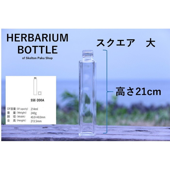 植物標本瓶【方形大號 sse-200】帶蓋玻璃瓶 1 透明瓶 Insta 第2張的照片