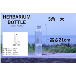 ハーバリウム　瓶　ボトル【5角形　大 uda-200】ガラス瓶　キャップ付　1本　透明瓶　　インスタ　 2枚目の画像