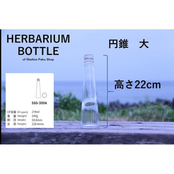 植物標本瓶瓶子瓶子【錐形大號SSG-200】玻璃瓶帶蓋1個透明瓶 第2張的照片
