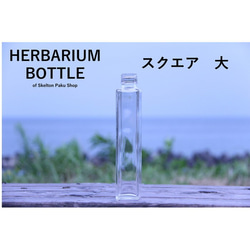 植物標本瓶方形【大長方體型sse-200】玻璃瓶帶蓋透明瓶花材婚慶 第1張的照片