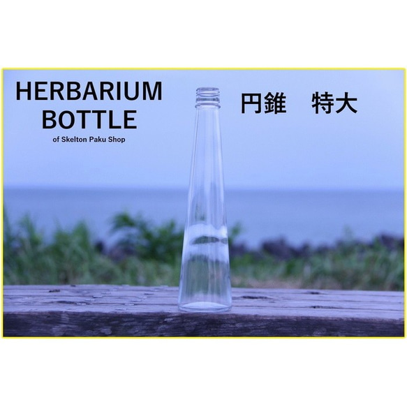植物標本瓶瓶【錐形特大號SSG-300】玻璃瓶帶蓋1透明瓶 第1張的照片
