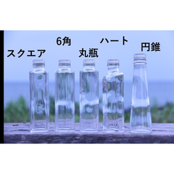 植物標本瓶 150ml 尺寸 任意 OK [5 種可供選擇] 帶蓋玻璃瓶 1 透明瓶 第2張的照片