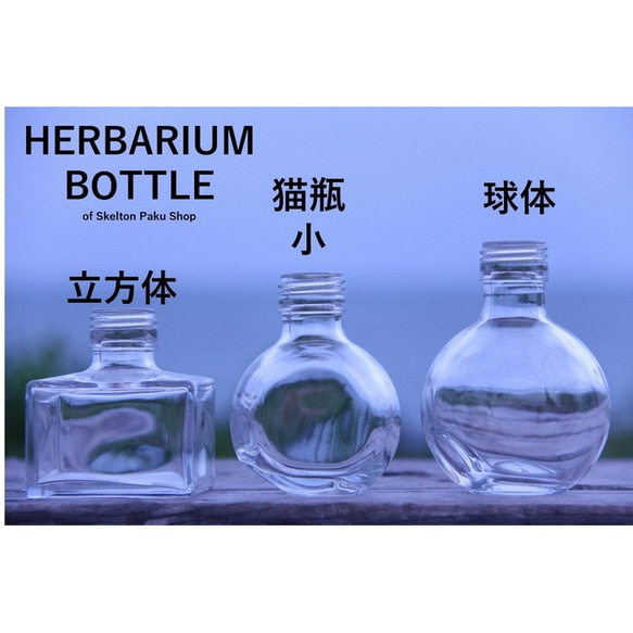 Herbarium Bottle Bottle 10 瓶您選擇的當然帶瓶蓋！ [10瓶可選] 玻璃瓶 帶蓋透明瓶 花材 第5張的照片