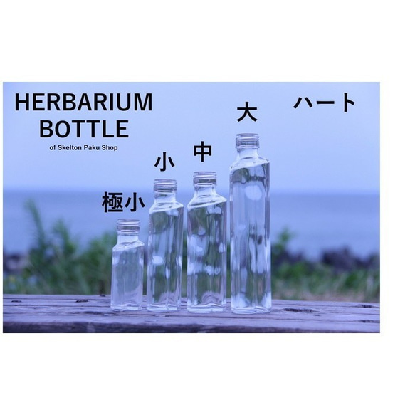 Herbarium Bottle Bottle 20 瓶任您選擇 當然帶瓶蓋！ [20瓶可選] 玻璃瓶 帶蓋透明瓶 花材 第2張的照片