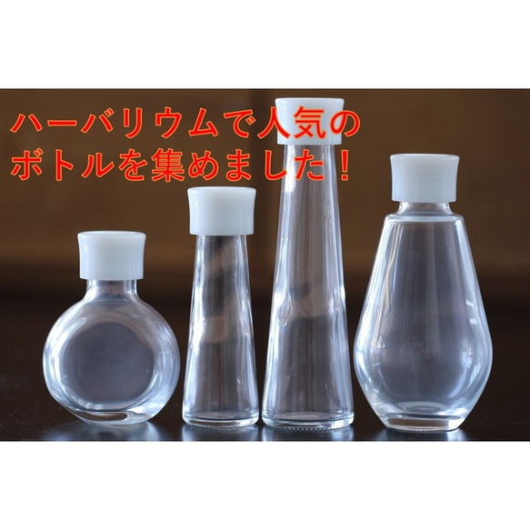 植物標本瓶 瓶子 瓶子【4種可選】帶蓋玻璃瓶 透明瓶1個 第1張的照片