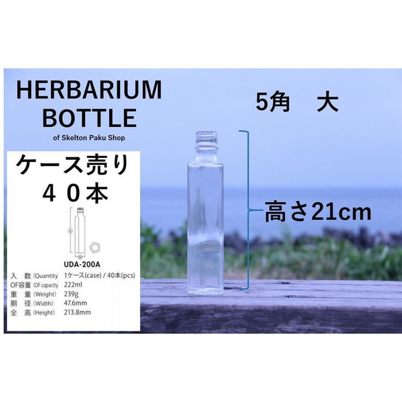 [免運費] 盒銷售帶蓋 40 瓶植物標本瓶 [五角形大 UDA-200] 帶蓋 第2張的照片