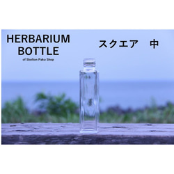 [免運費]“玻璃瓶盒銷售”54瓶帶蓋玻璃瓶玻璃瓶[方形中型sse-150]瓶子 第1張的照片