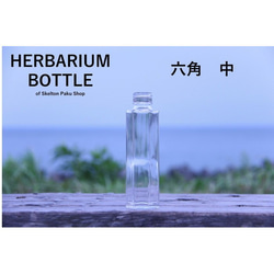【送料無料】キャップ付き　ケース売り　54本入り　ハーバリウム　瓶　ボトル 【六角　中 SSF-150】キャップ付 1枚目の画像