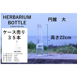 [免運費] 盒裝銷售帶蓋 35 瓶植物標本瓶 [大錐體 ssg-200] 帶蓋 第2張的照片