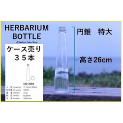 [免運費] 帶蓋出售盒 35 瓶植物標本瓶 [錐形超大 ssg-300] 帶蓋 第2張的照片