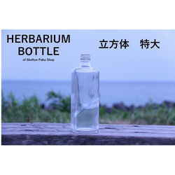 [免運費] 無蓋按箱出售 20 瓶植物標本瓶瓶 [立方體特大 t-720] 玻璃瓶 第1張的照片