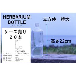 [免運費] 無蓋按箱出售 20 瓶植物標本瓶瓶 [立方體特大 t-720] 玻璃瓶 第2張的照片