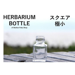 [免運費] 無蓋按箱出售 100 瓶植物標本瓶瓶子 [方形超小 sse-50] 玻璃瓶 第1張的照片