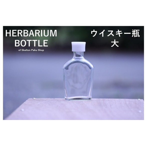 [免運費] 無蓋按箱出售 35 瓶植物標本瓶瓶 [威士忌大 ssu-200] 玻璃瓶 第1張的照片