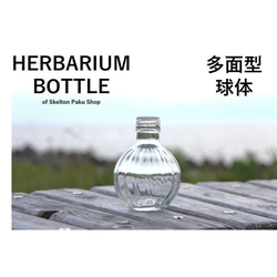 [免運費] 無蓋案例銷售 48 瓶植物標本瓶瓶 [多面球] 洋蔥球玻璃瓶 透明瓶 第1張的照片