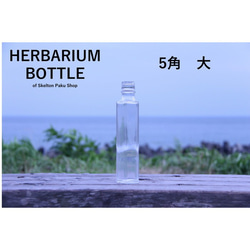 【送料無料】キャップなし　ケース売り　40本入り　ハーバリウム　瓶　ボトル 【5角形 uda-200 】ガラス瓶 1枚目の画像
