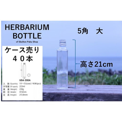 【送料無料】キャップなし　ケース売り　40本入り　ハーバリウム　瓶　ボトル 【5角形 uda-200 】ガラス瓶 2枚目の画像