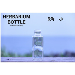 [免運費] 無蓋按箱出售 70 瓶植物標本瓶 [六角小] ssf-100 玻璃瓶 第1張的照片