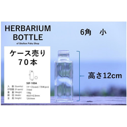 【送料無料】キャップなし　ケース売り　70本入り　ハーバリウム　瓶　ボトル 【六角　小】ssf-100 ガラス瓶 2枚目の画像