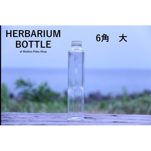 [免運費] 無蓋按箱出售 40 瓶植物標本瓶 [大六角形] ssf-200 玻璃瓶 第1張的照片