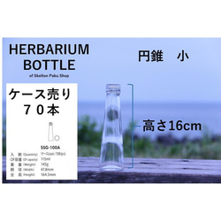 [免運費] 無蓋按箱出售 70 瓶植物標本瓶 [錐形小] ssg-100 玻璃瓶 第2張的照片