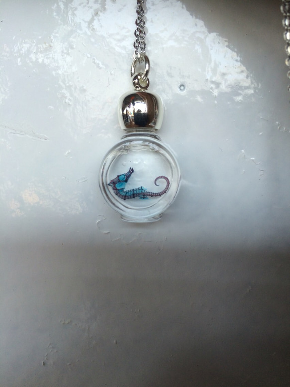 透明標本ネックレス シルバー丸型 1枚目の画像