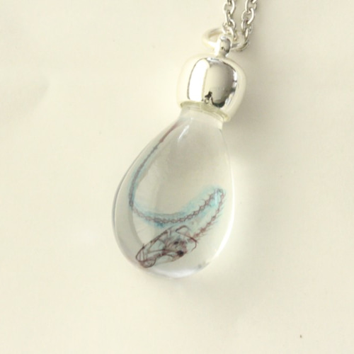 シロウオ 透明標本 ネックレス / 昆虫 植物 標本 インテリア 雑貨 透明