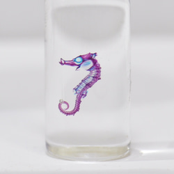 タツノオトシゴ 透明標本 その他雑貨 カイセイ加工透明屋パク