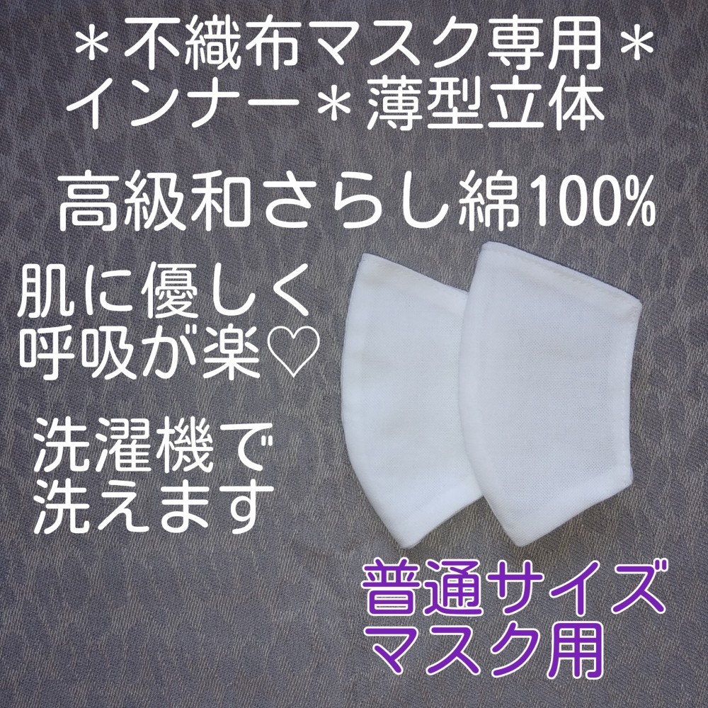送料込＊改良型【薄型立体インナーマスク】普通サイズ2枚入＊高級和  