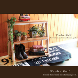 送料無料]アンティーク風 シューズラック 観葉植物 シェルフ