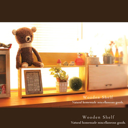 5段飾り棚 DVD収納 本棚 幅60cm LO/W 完成品