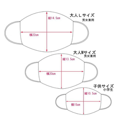 呼吸しやすいマスク★ストライプ【大人Mサイズ】 5枚目の画像