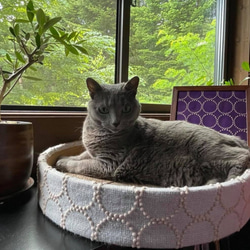 ミナペルホネンの可愛い猫用爪とぎ 北欧 タンバリン tambourine