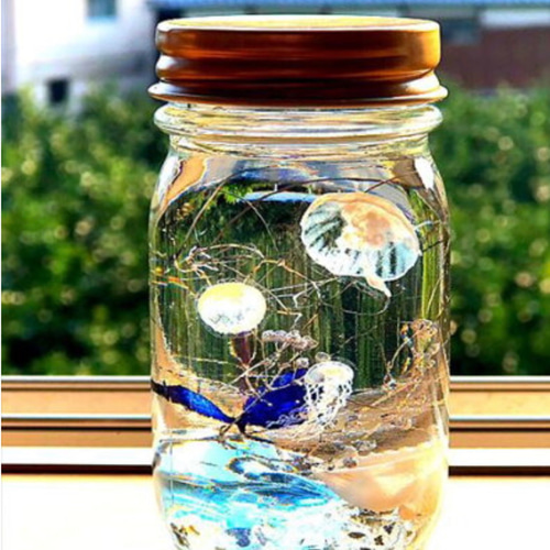 おうちで体験♡ アクアハーバリウム 製作キット ハーバリウム・植物 