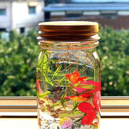 おうちで体験♡ アクアハーバリウム 製作キット ハーバリウム・植物 
