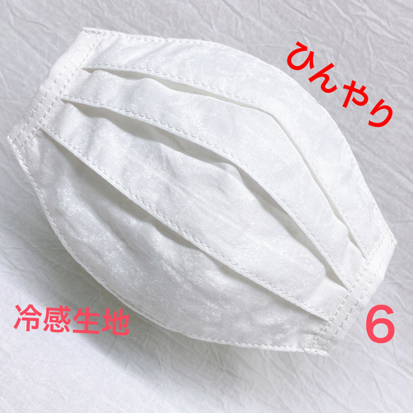 スーパーフィット　冷感　6  マスクカバー ひんやり　接触冷感　白　刺繍　cool 1枚目の画像