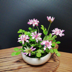 パンフラワー：どくだみ、野ぶどう╱粘土の花╱クレイフラワー╱造花