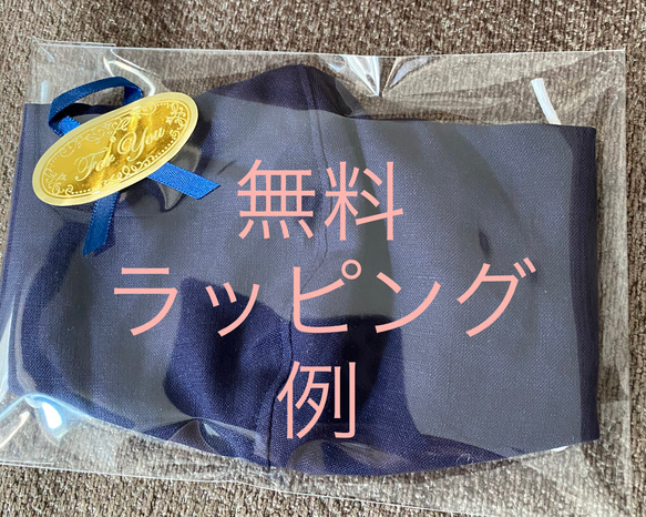 リボン　ブルー　刺繍　立体　マスク　抗菌　小池都知事風　綿　コットン　即日発送　送料無料　レース　オールシーズン 8枚目の画像