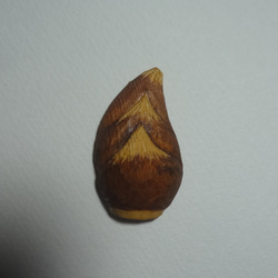 木彫刻 ブローチ 『 たけのこ 』　筍　植物 バッジ 1枚目の画像